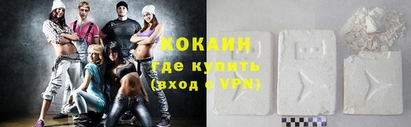 хмурый Алексин