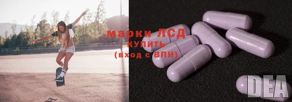 хмурый Алексин