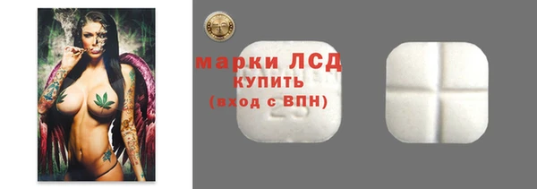 хмурый Алексин