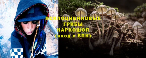молекула духа Ельня