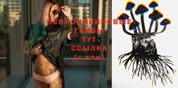 хмурый Алексин