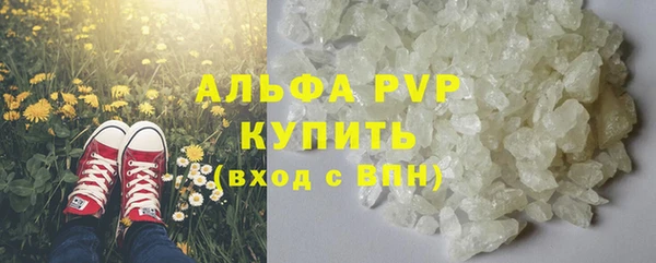 хмурый Алексин